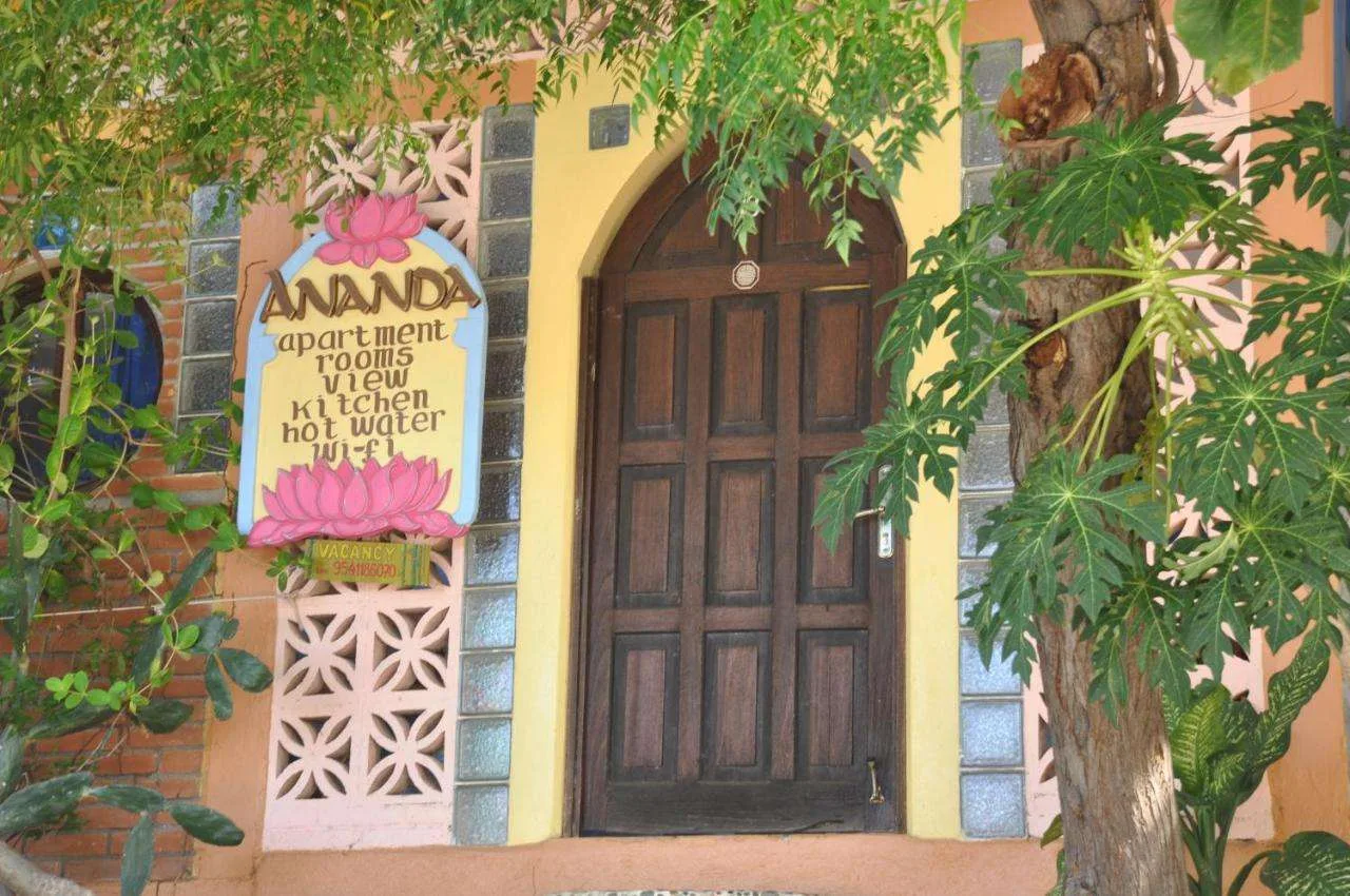200 Hours Traditional Hatha Yoga Teacher Training Course in Mexico