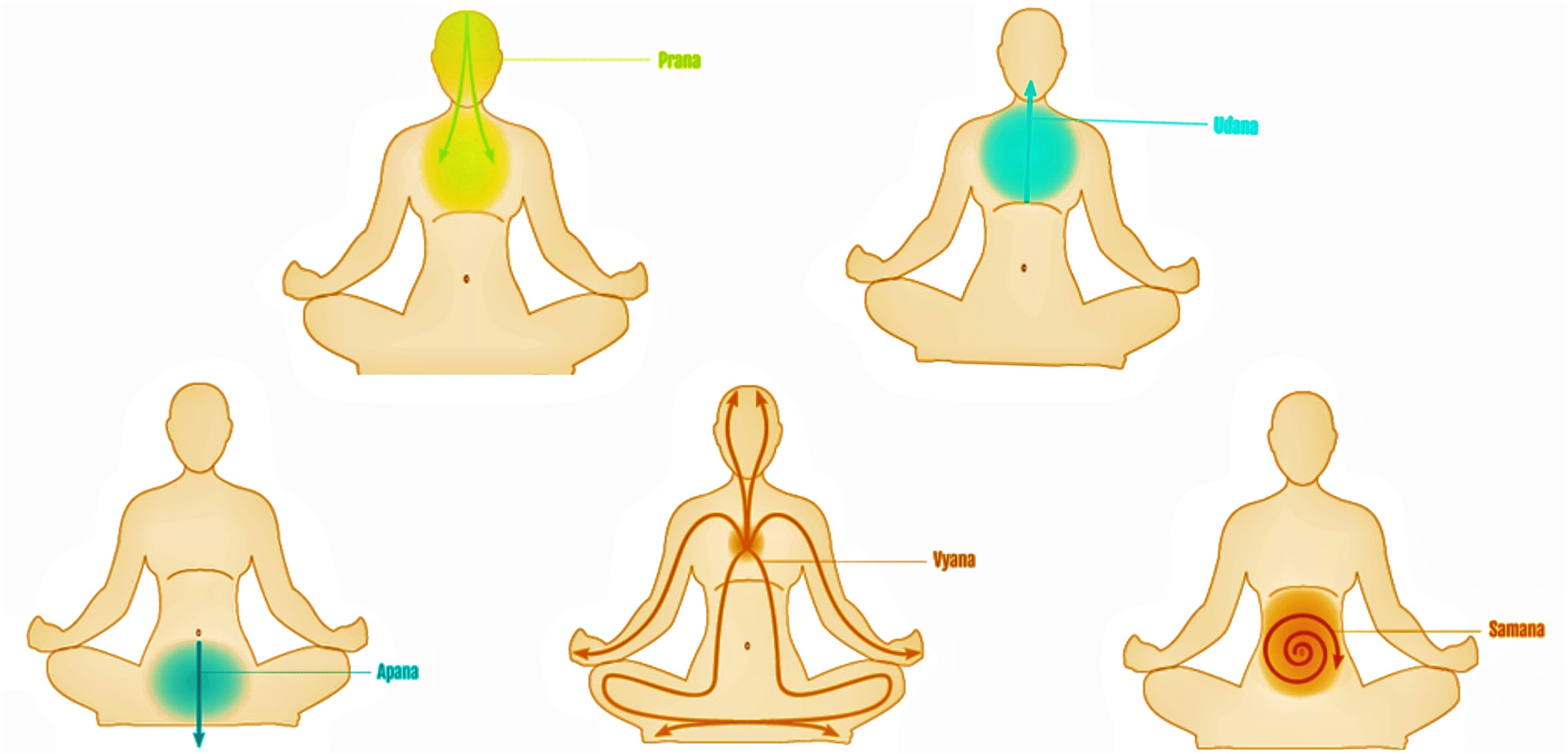 4 Best Benefits Of Prana Yoga - Vedansh